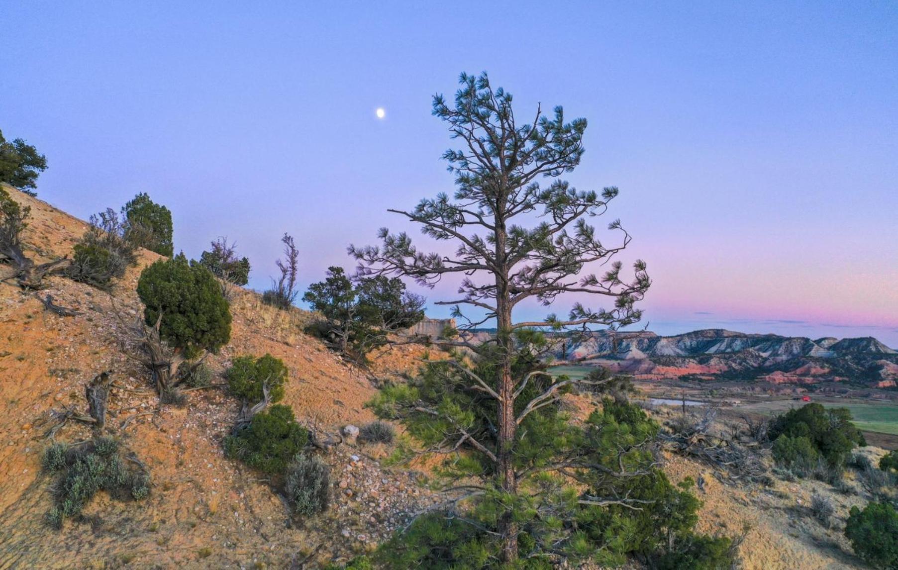 Clear Sky Resorts - Bryce Canyon - Unique Stargazing Domes Cannonville Eksteriør bilde